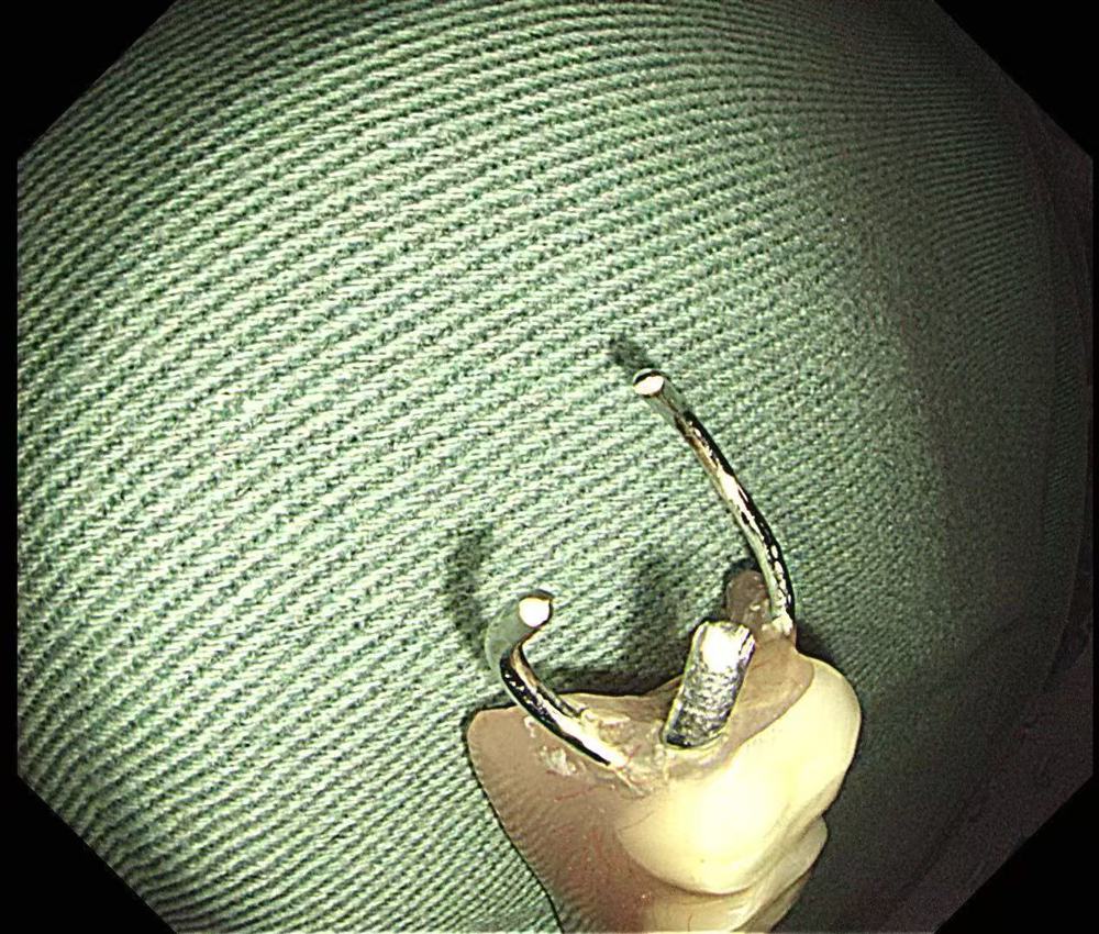 微信图片_20251215102708_62_9