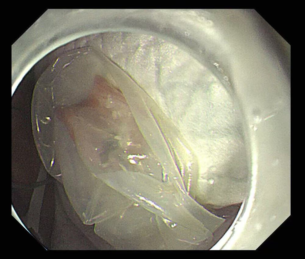 微信图片_20251215102709_63_9