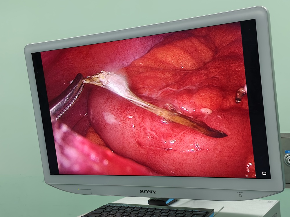 微信图片_20251218083004_11_1009