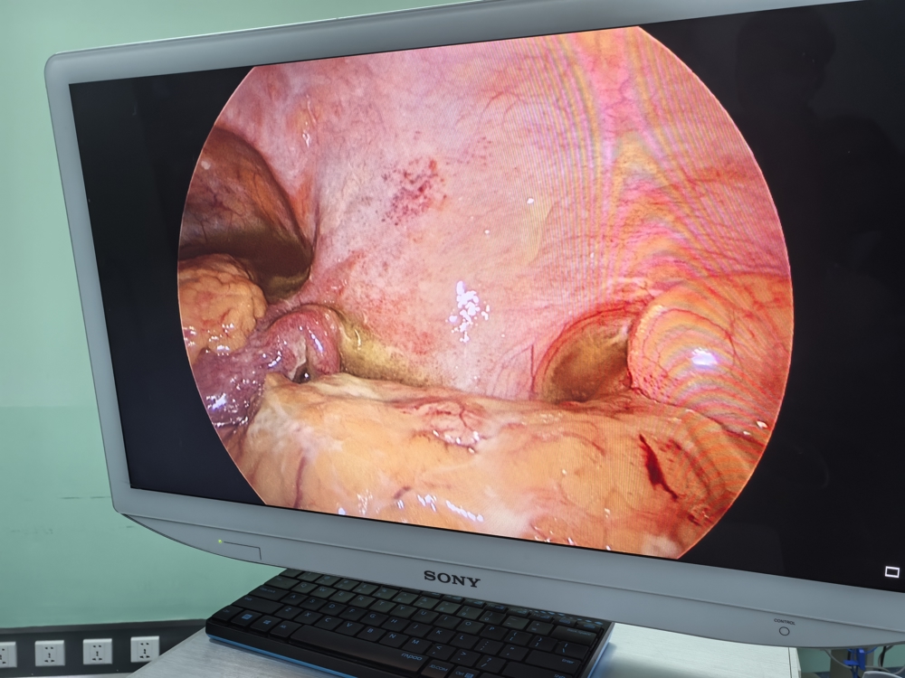 微信图片_20260407173350_151_198