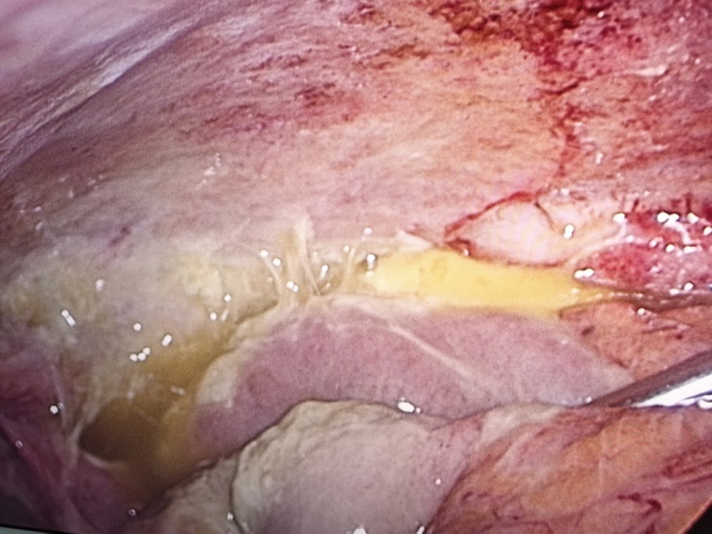 微信图片_20260407171916_148_198